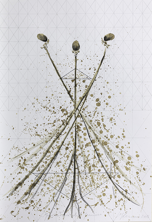 GIUSEPPE PENONE Geometria del pensiero (Geometry of Thought), 2016 Coffee and pencil on paper 18 7/8 x 13 in 48 x 33 cm © 2019 Artists Rights Society (ARS), New York / ADAGP, Paris Photo: © Archivio Penone Courtesy the artist and Gagosian