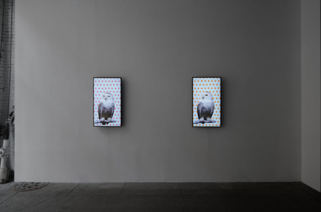 Robert Wilson: Animals reception – Art in America Guide